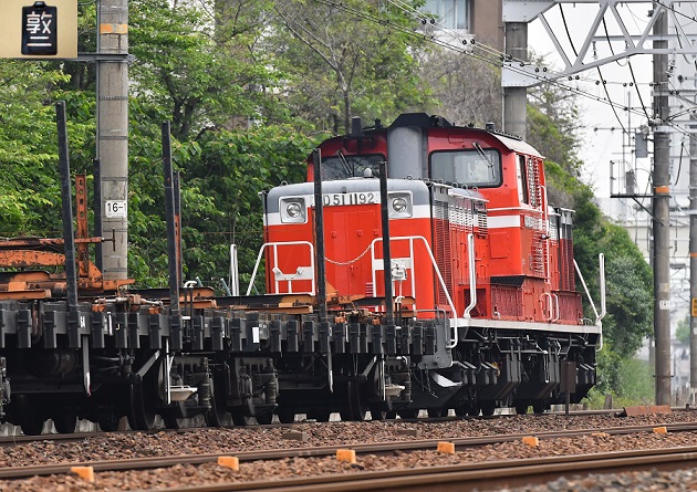 DSC_2769.JPG
