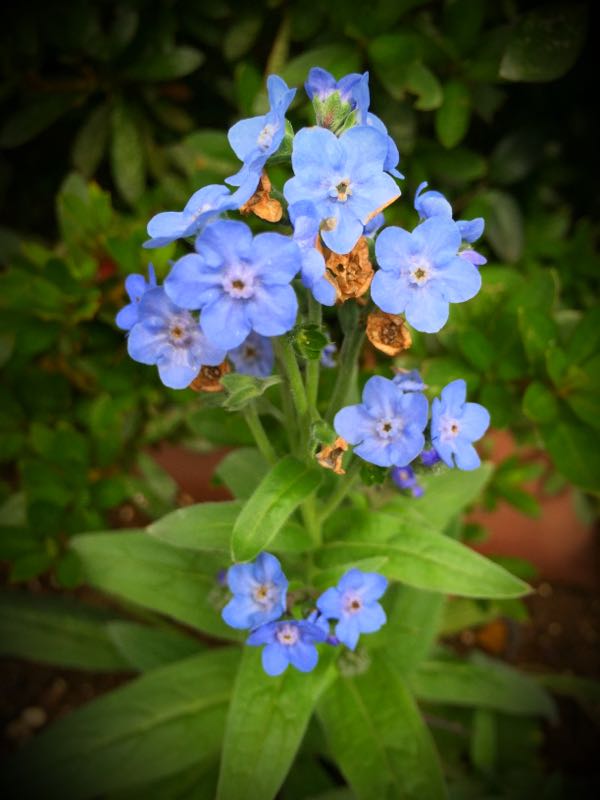 rblog-20151029140616-01.jpg