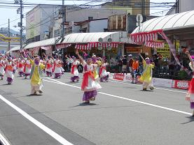 yosakoi1.JPG