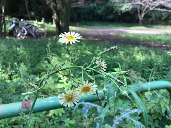 rblog-20170929122818-05.jpg
