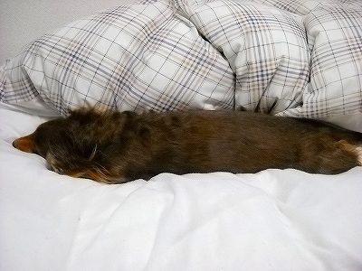 DSCN0600.jpg