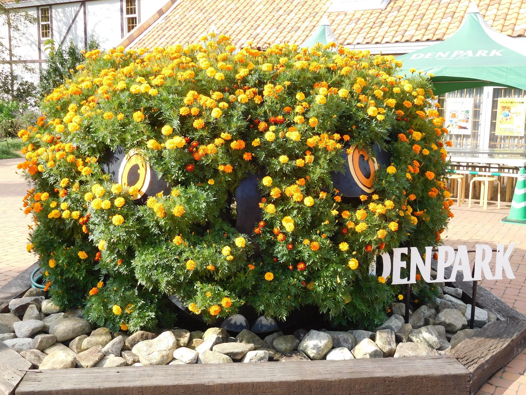 デンパーク 2016秋 その6 ~寄せ植え。 | TEA&GARDEN ちょっとひとりごと - 楽天ブログ