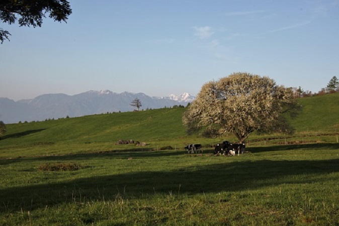 IMG_3331.JPG