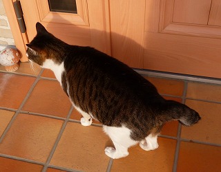 P1140261-ass.jpg