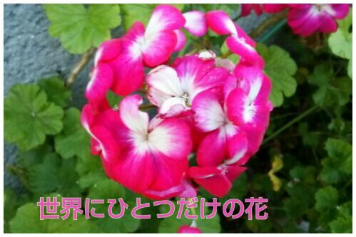rblog-20161114210209-00.jpg