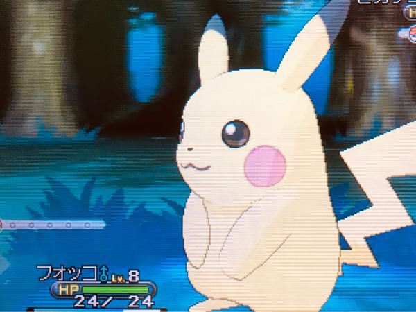 ポケモンxy の記事一覧 たこやきのポケモンブログ 楽天ブログ