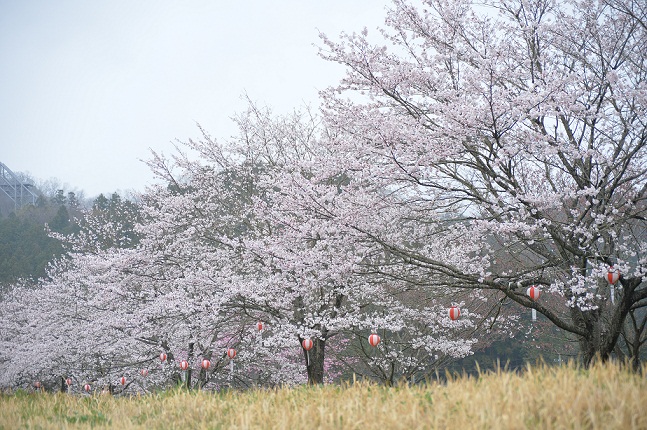 辰口 013.JPG