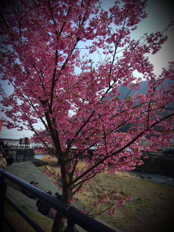 rblog-20160304152238-04.jpg