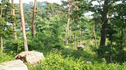 rblog-20180529163812-09.jpg