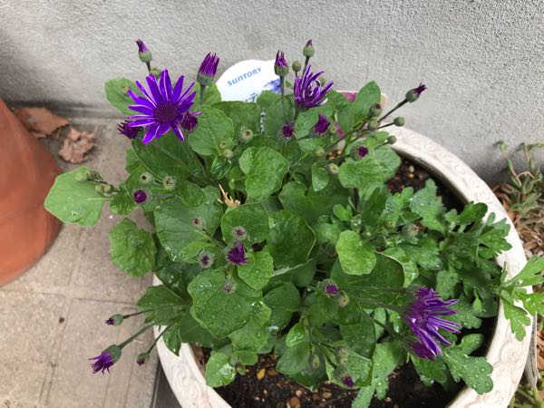 rblog-20190426181233-00.jpg
