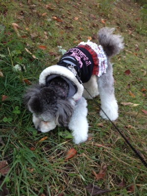 20121101b.JPG