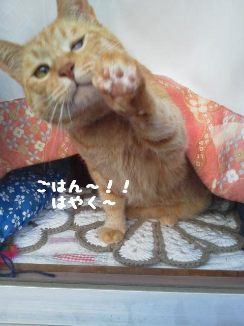 ごはん