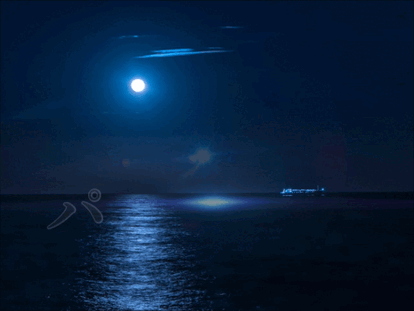 パルス♯ルナ🌙クイーンのブログ