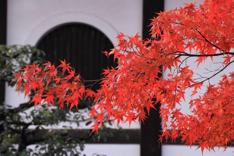 通天橋庭園_004.jpg