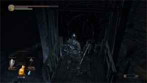 DS49.jpg