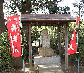 清瀧院の寿老人