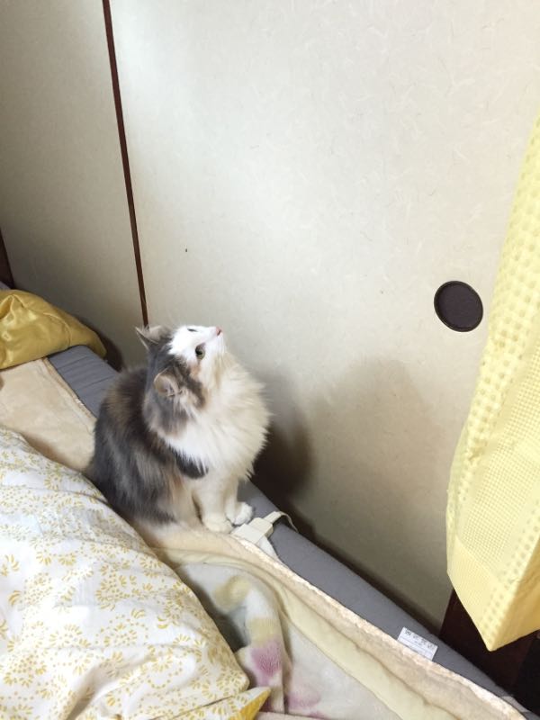 rblog-20160315091901-04.jpg