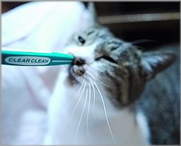 そうね~