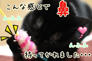 鼻.jpg