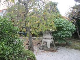 洛山1026.JPG
