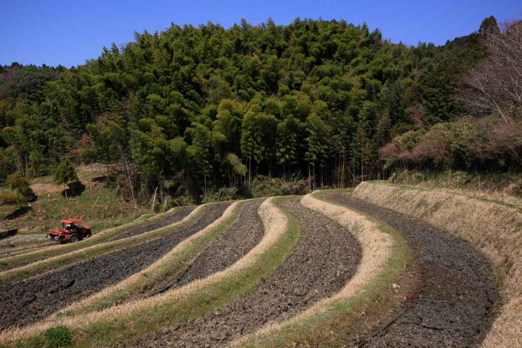 明日香村_002.jpg