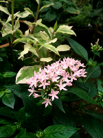 rblog-20130906110128-01.png
