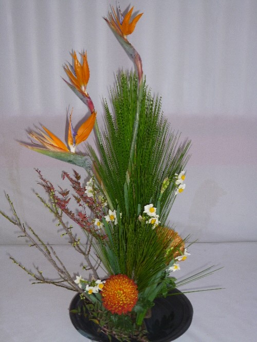 P1140993(1).JPG