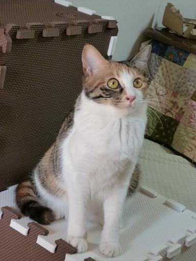 画像 2734.jpg
