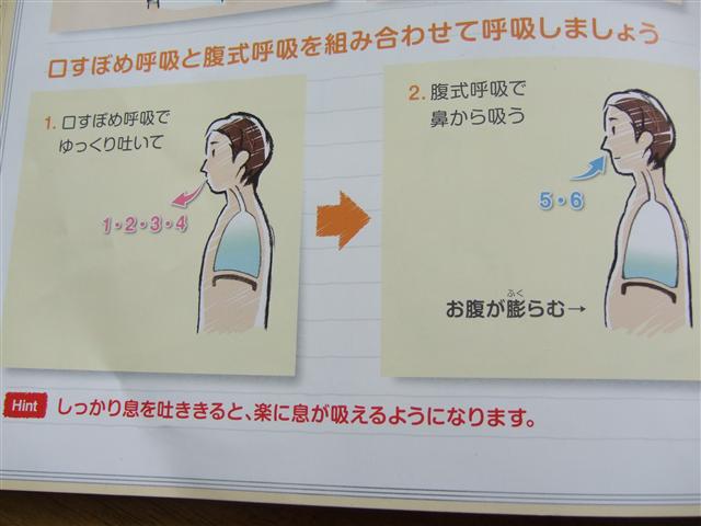 52ページ目の記事一覧 小亀の日記 楽天ブログ