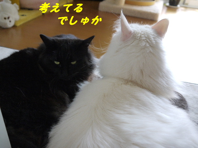 P1250751.JPG