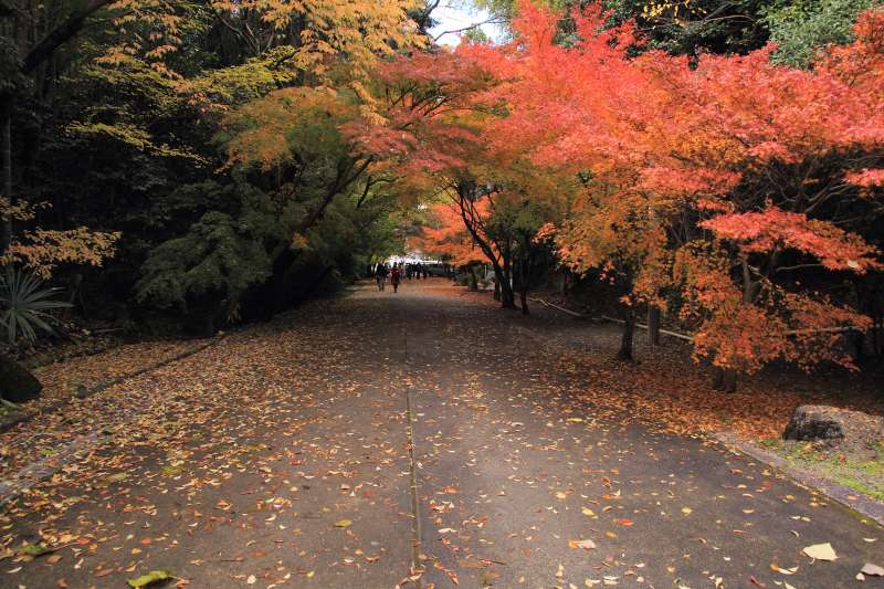 東福寺_002見返り.jpg