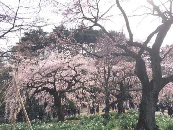 rblog-20170405001416-02.jpg