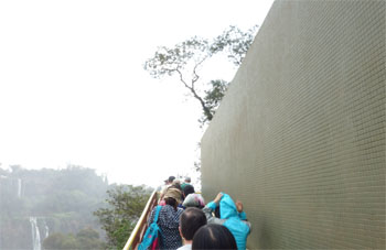 南米901.jpg