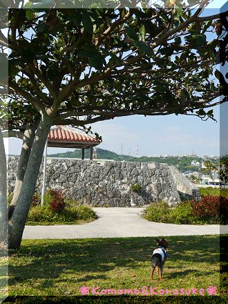 P1180939.jpg