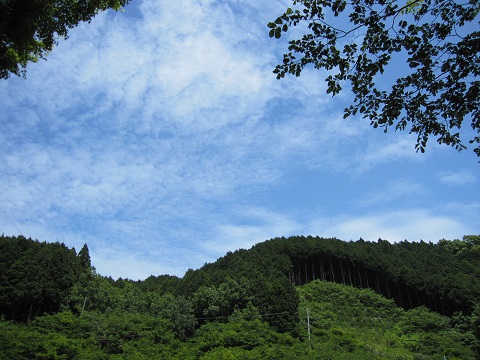 sora