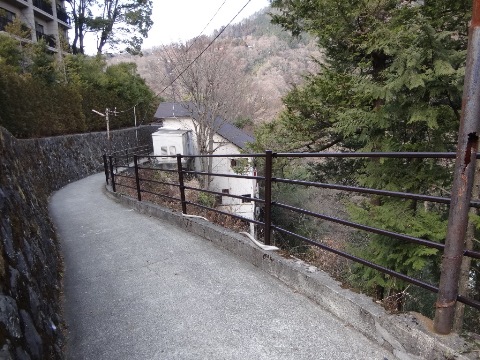 DSC03610.JPG