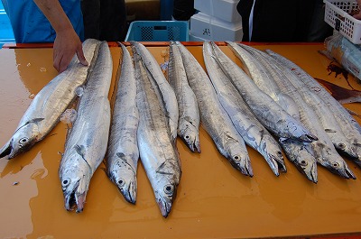 DSC_0438.jpg