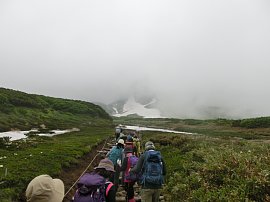 霧の中の鶴.JPG