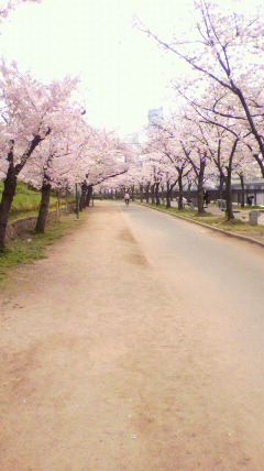 2013040208340000.jpg