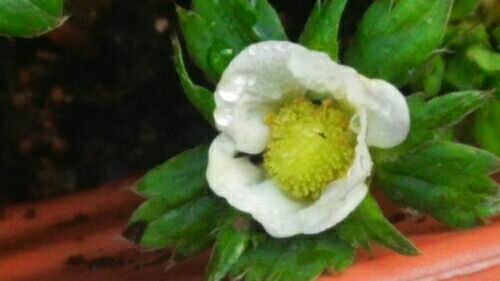 rblog-20151211151032-03.jpg