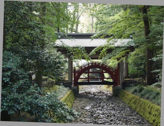 弥彦神社太鼓橋