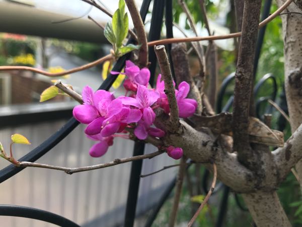 rblog-20180408160645-03.jpg