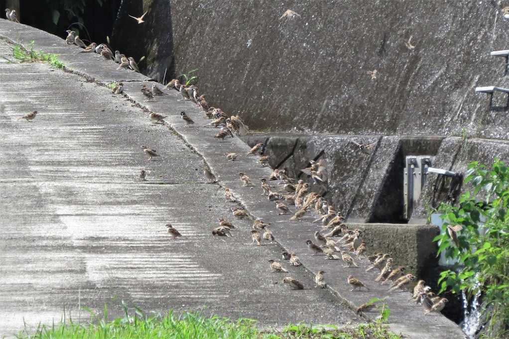 498