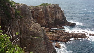 P5163270.jpg