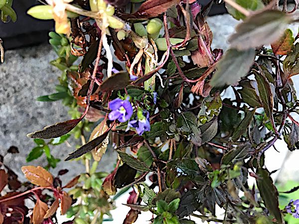 rblog-20180429182659-04.jpg