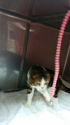 rblog-20141111104913-03.jpg