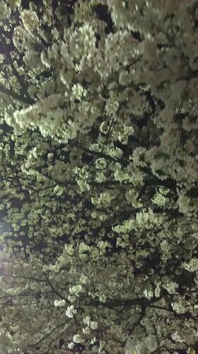 rblog-20180328170524-02.jpg