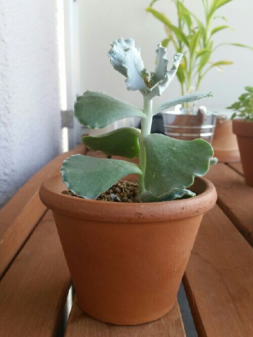 rblog-20151023102954-02.jpg