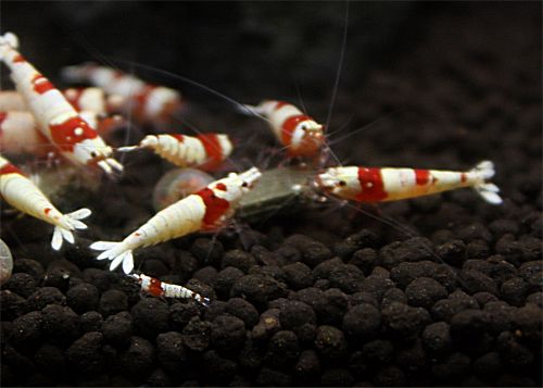 20141112a.JPG