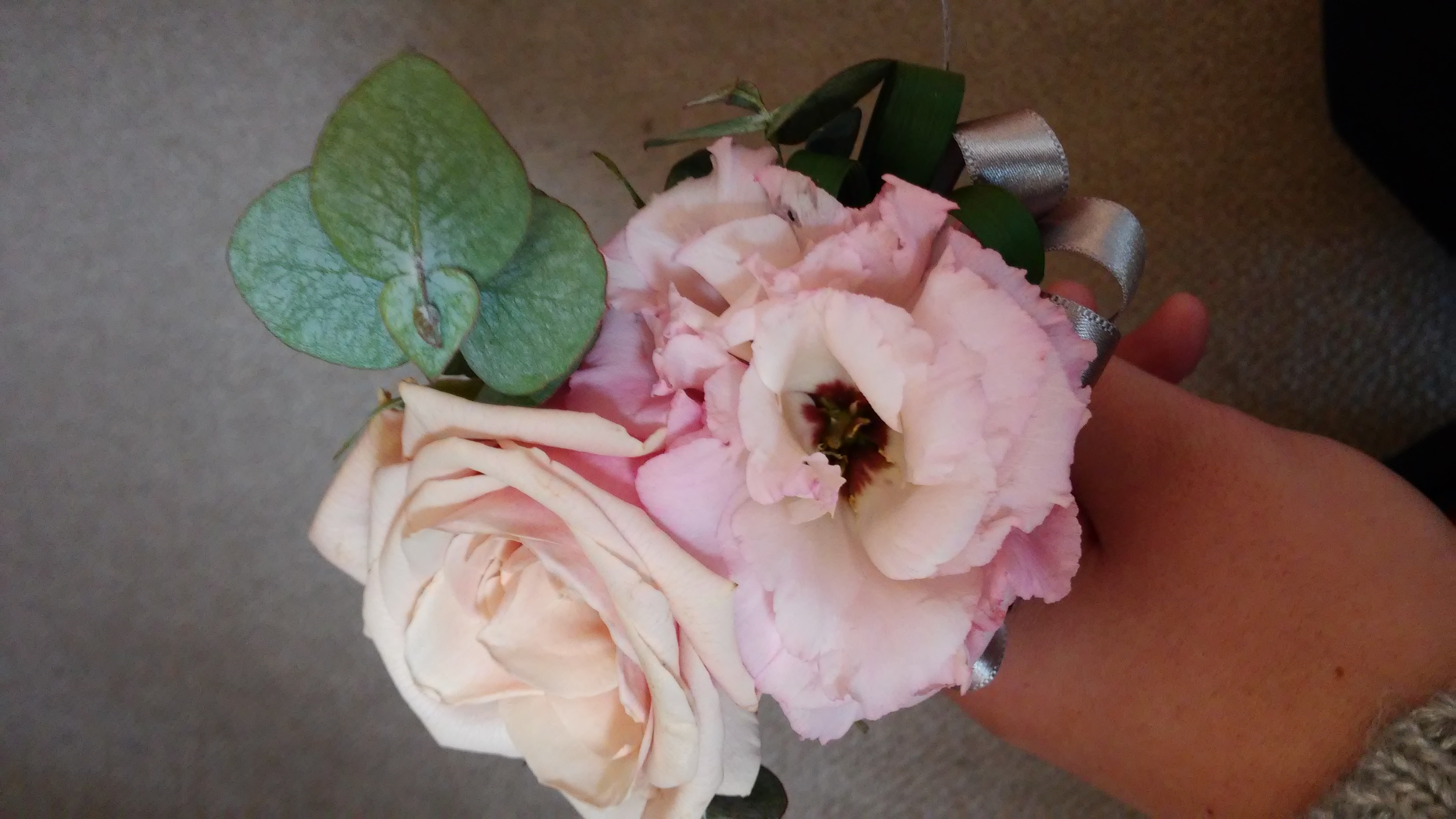 20160109_133136.jpg